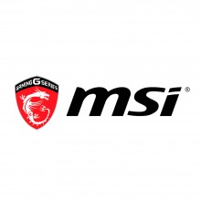 MSI