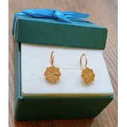 Серьги , золото 585 (14K), вес 3 г.