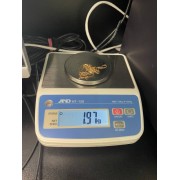 Цепь, золото 585 (14K), вес 1.9 г.