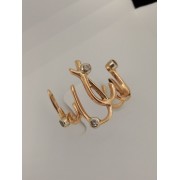 Золотое кольцо 