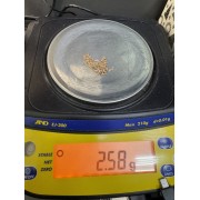 Цепь золотая, золото 375 (9K), вес 2.5 г.