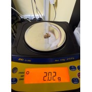 Серьги с камнями, золото 585 (14K), вес 2 г.