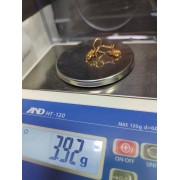 Серьги золотые без вставок, золото 585 (14K), вес 3.9 г.